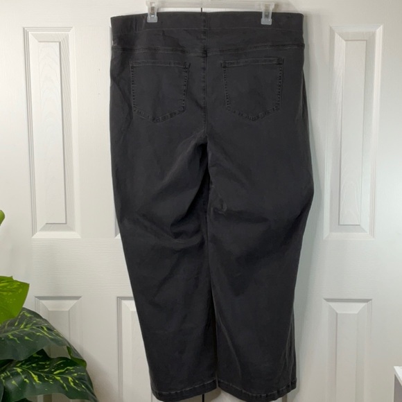 Sculpt-Her by Nydi Womens Capri Pants Size 2X - Picture 7 of 9